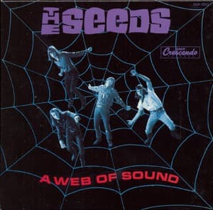 A Web Of Sound