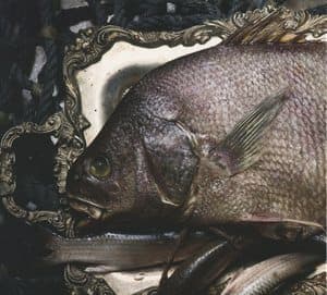 From Beer To Eternity