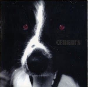 Cerebus