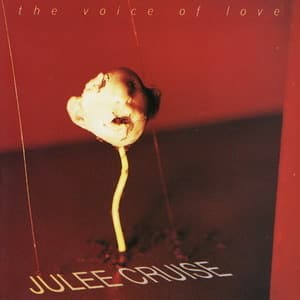 The Voice Of Love