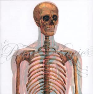 The Opencast Heart Ep