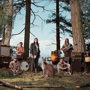 The Wild Orchid Children Are Alexander Supertramp