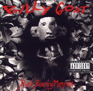 Bush Roaming Mammals