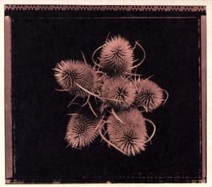 Are You Happy Now [CDS]