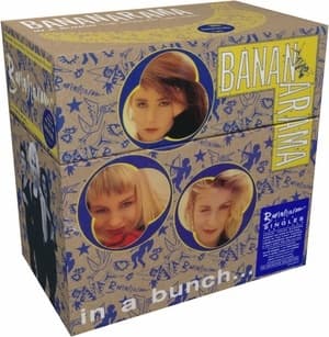 In A Bunch (The Singles 1981-1993)