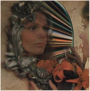 Brown Shark, Red Lion