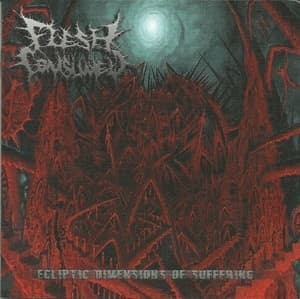 Ecliptic Dimensions Of Suffering