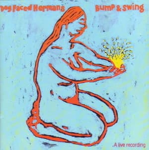 Bump And Swing [live Album]