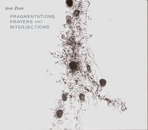 Fragmentations, Prayers And Interjections (David Fulmer & Arcana Orchestra)