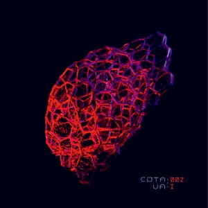 Various Artists I - Compilation Album