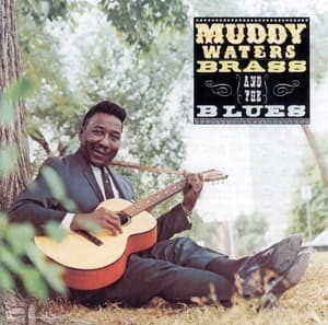 Muddy, Brass And The Blues