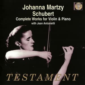 Schubert - Complete Works For Violin & Piano (2CD)