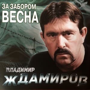 ЗА ЗАБОРОМ ВЕСНА