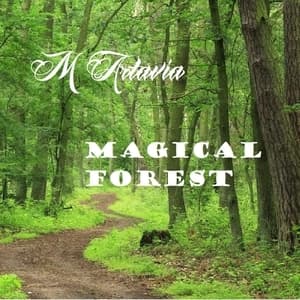 Magical Forest