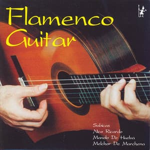 Masters Of Flamenco Guitar