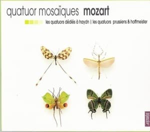 Quatuor Mosaiques