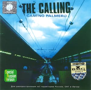 Camino Palmero