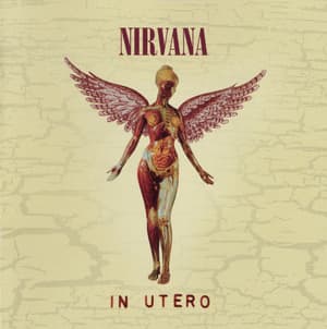 In Utero [20th Anniversary Edition]
