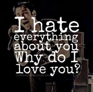 I Hate Everything About You