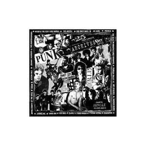 Punk Archives - 25 Punk Singles