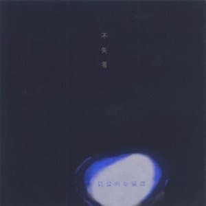 Allegorical Misunderstanding