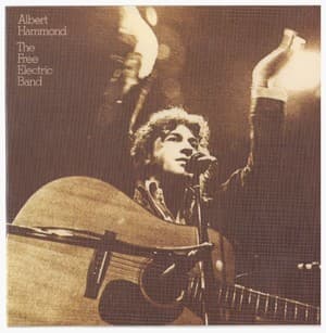 The Free Electric Band