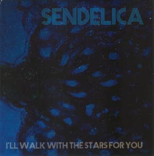 I'll Walk With The Stars For You