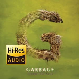 Strange Little Birds