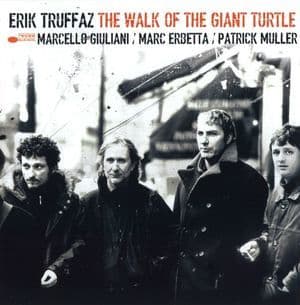The Walk Of The Giant Turtle