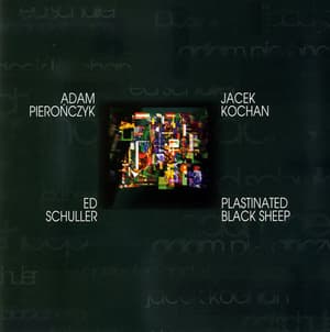 Plastinated Black Sheep