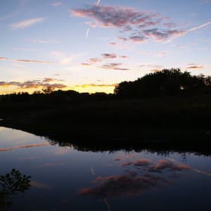 Down By The River Where The Dead Souls Go [single] {bangsnap Rec.}