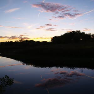 Down By The River Where The Dead Souls Go {bangsnap Records}