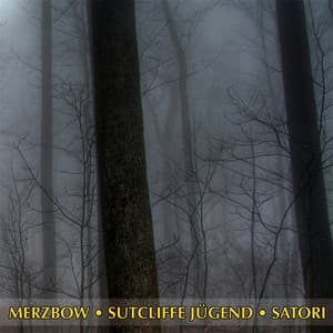 Merzbow · Sutcliffe Jügend · Satori