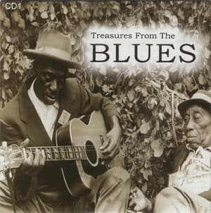 Treasures From The Blues