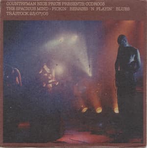 Pickin' Berries 'n Playin' Blues