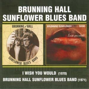 I Wish You Would '70 & Brunning Sunflower Blues Band '71