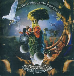 The Peppermint Tree And The Seeds Of Superconsciousness