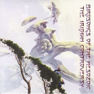 The Iridium Controversy