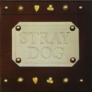 Stray Dog