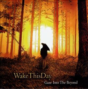 Gaze Into The Beyond