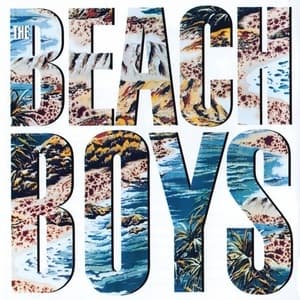 The Beach Boys