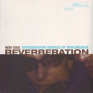 New Soul (reverberation Remixes By Muslimgauze)