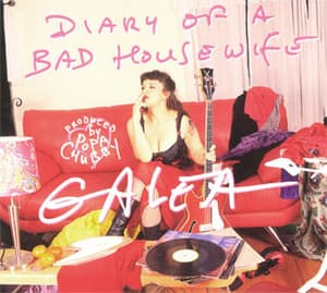 Diary Of A Bad  Housewife