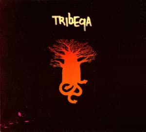 Tribeqa