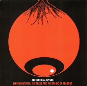 Mother Nature, The Trees And The Magic Of Seasons