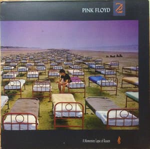 A Momentary Lapse Of Reason