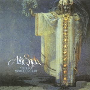 A Story Of Mysterious Forest