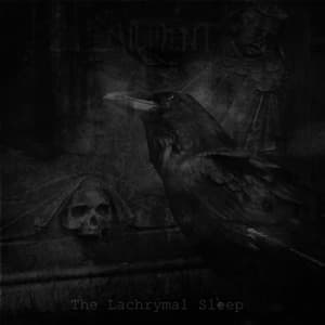 The Lachrymal Sleep 