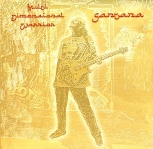 Multi Dimensional Warrior