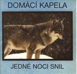 Jedne Noci Snil